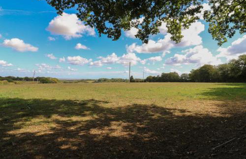 The Old Workshop - Photo 38