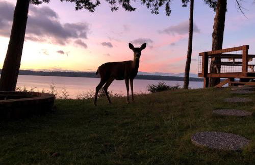 Incredible Sunset at Beachfront Glamping Cabin on Private, Herron Island with Fire Pit and Kayaking near Olympia, Washington - Foto 29