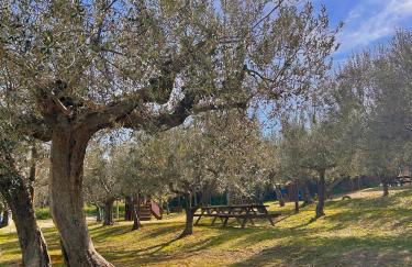 oasi macerina - Foto 41