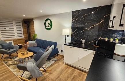 Czarny Koń i Biały Koń Black Horse & White Horse Apartamenty - Foto 26