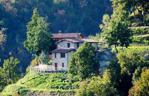 Agriturismo Le Scope - Foto 4