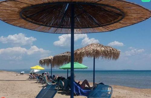 Just Constructed! - Foto 42