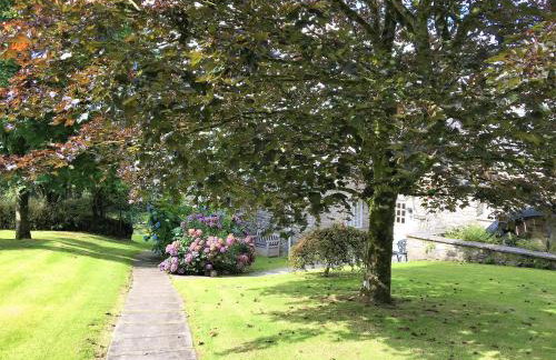 Almond Tree Cottage - Foto 24