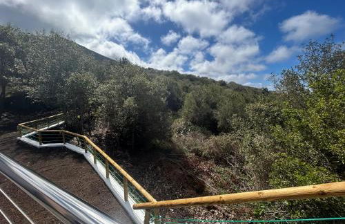 Viva Forest Apartment, Stevier - Foto 35