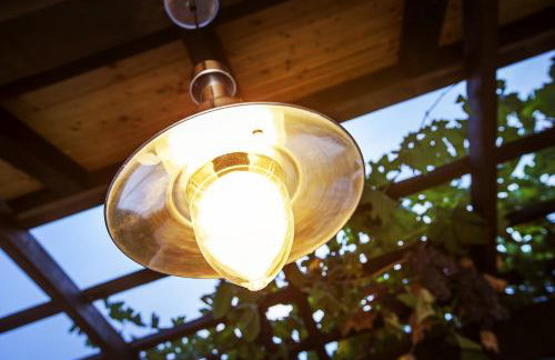 Apartments Juranić - Photo 8