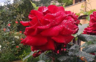 STUDIO APARTMAN STARA BAŠKA - Foto 35