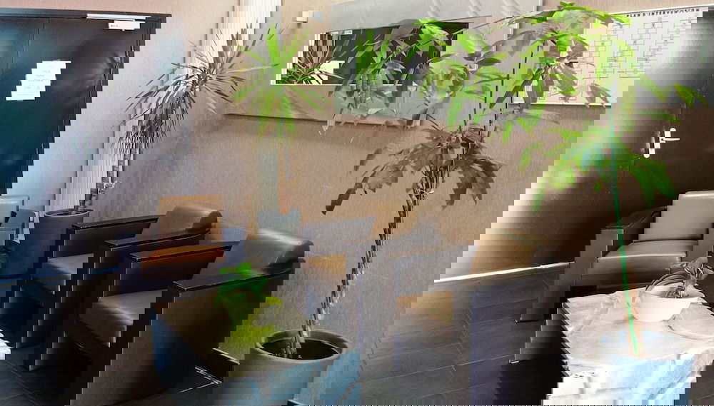 Entrada (vista interior)