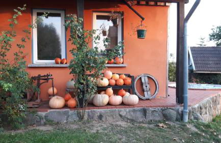 Hof-Silberweide - Foto 7