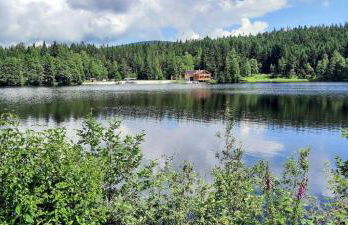 Haus Am Waldesrand - Foto 22