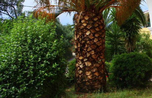 Lea Family Resort - Foto 15