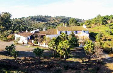 Finca Molino Don Zoilo - Foto 10