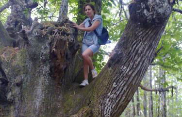 La Casa del Telar - Foto 58