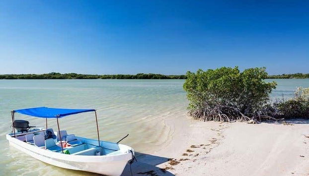 Day Trip to Las Coloradas & Río Lagartos - Foto 2