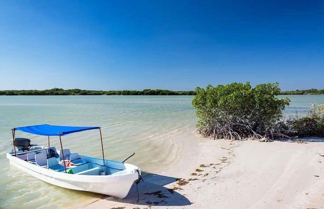 Day Trip to Las Coloradas & Río Lagartos - Foto 1