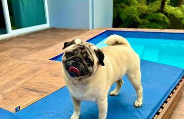 Loft com Hidro e Lareira em Gramado - Photo 31