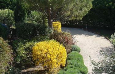 L’Olivier - Foto 26