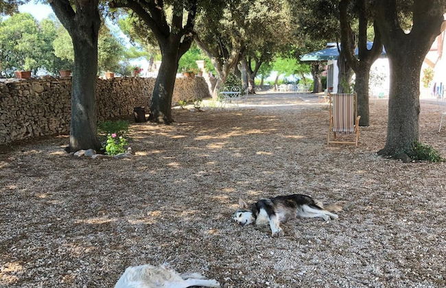 Ai Pilieri di Bagnoli - Foto 33