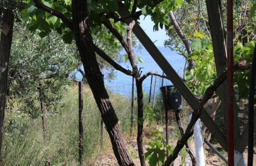 Aaron Apartments - Foto 24