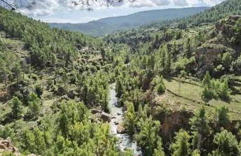 LA MANDUCA - Foto 11