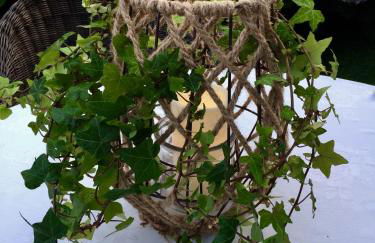 La Casona de Benito - Foto 20