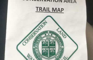 Clear Pond Suite - Photo 54