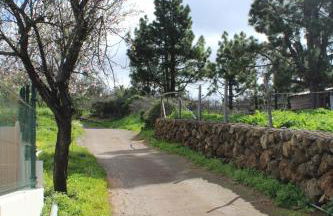 Falcon Crest - Photo 41