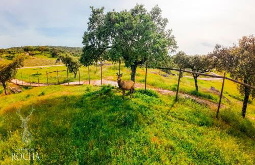 Herdade da Rocha - Boutique Lodge - Foto 80