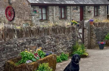 Fentrigan Manor Farm & Holiday Cottages - Foto 7