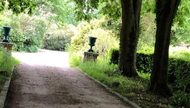 La maison des fleurs - Foto 2