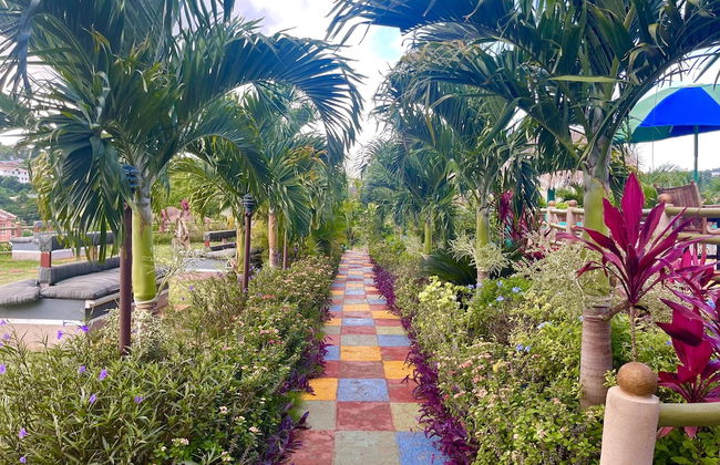 Pirate Palms - Foto 35