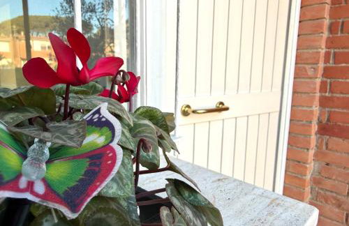 Domus Libeccio 57 - Foto 8