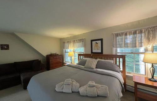 Unique Ski Rental in Berkshires Charlemont Near Hawley State Forest, Plainfield, Western Massachusetts - Foto 34