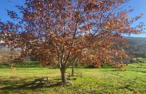 Lugar da Borralheira - Foto 46