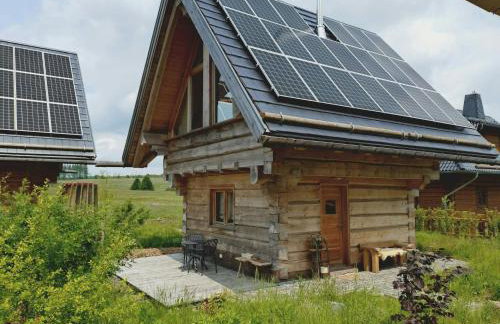 Log Cabins In The Upper Harz Mountains - Foto 39