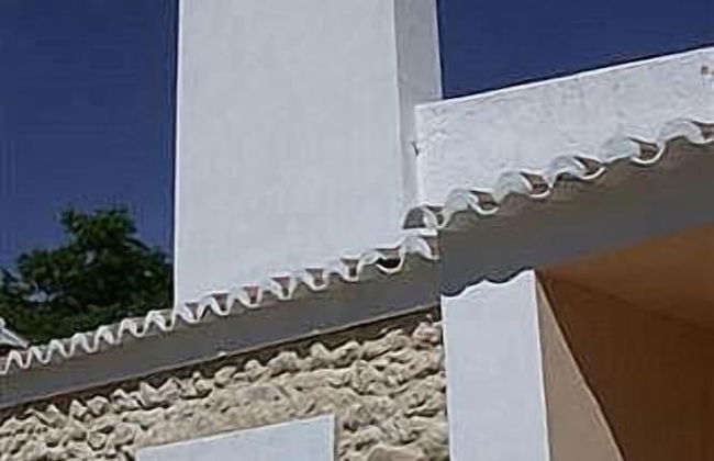 La Escuela del Campo - Photo 40