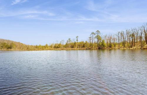 Wild Forest - Foto 23