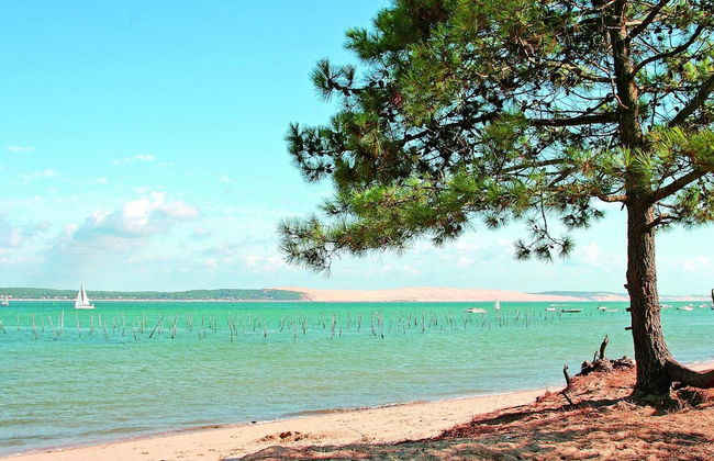 VVF Lège Cap Ferret, Claouey - Foto 70