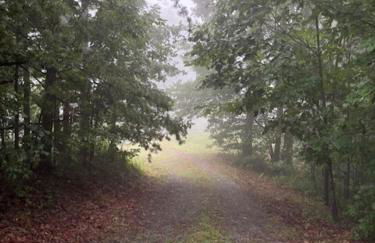 Charming Cabin with Incredible Mountain Views - Foto 32