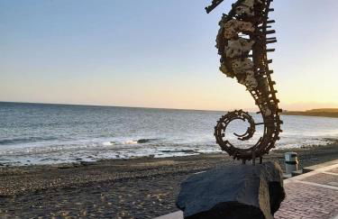 Casa de Cactus - Photo 41