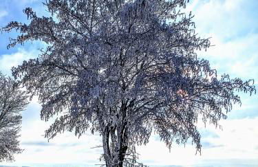 Ferienwohnung Mühl - Familienfreundlich, 2 Schlafzimmer, großes Grundstück, Erzgebirge - Foto 12