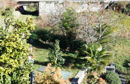 Casa delle Camelie - Foto 10