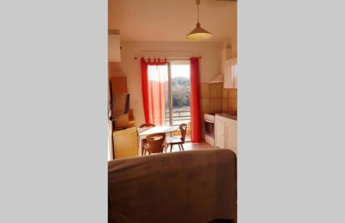 Joli Appartement, terrasse plein sud - Foto 1