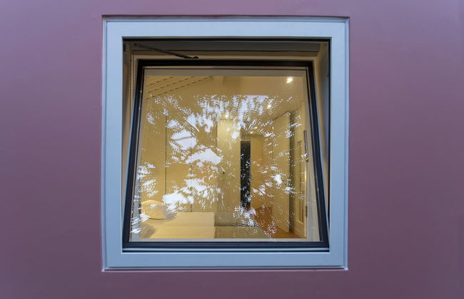 Quinta dos Peixes Falantes - Foto 15