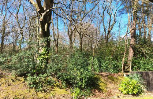 Forest Cabin Retreat - Sleeps 2 - Wifi & Garden - Foto 12