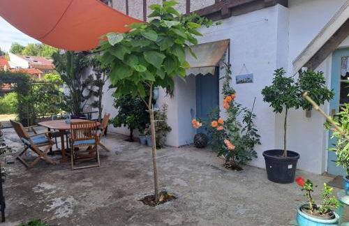 Sonniges Apartment Altenbrak - Foto 17