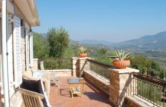 Old Olive house - Foto 28