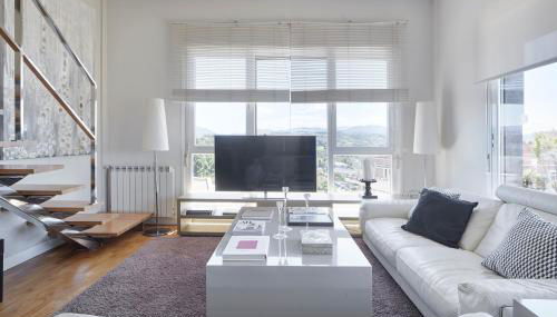 Palacio Aiete by FeelFreeRentals - Foto 3