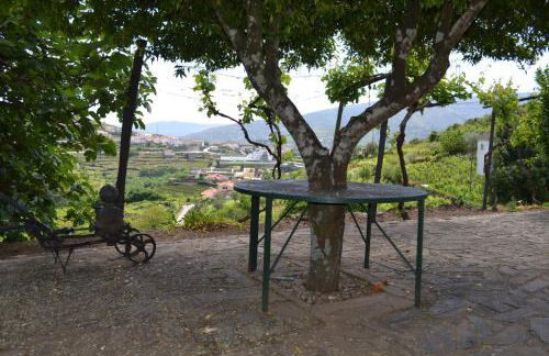 Quinta do Santo no Douro - Casa T2 - Foto 16