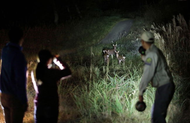 The Prince Villa Karuizawa - Foto 45