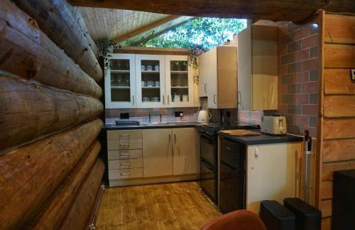 Secluded Hand Crafted Log Cabin - Foto 7